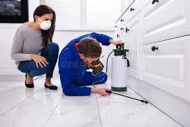 Best Emergency Pest Control  in Ottawa, OH